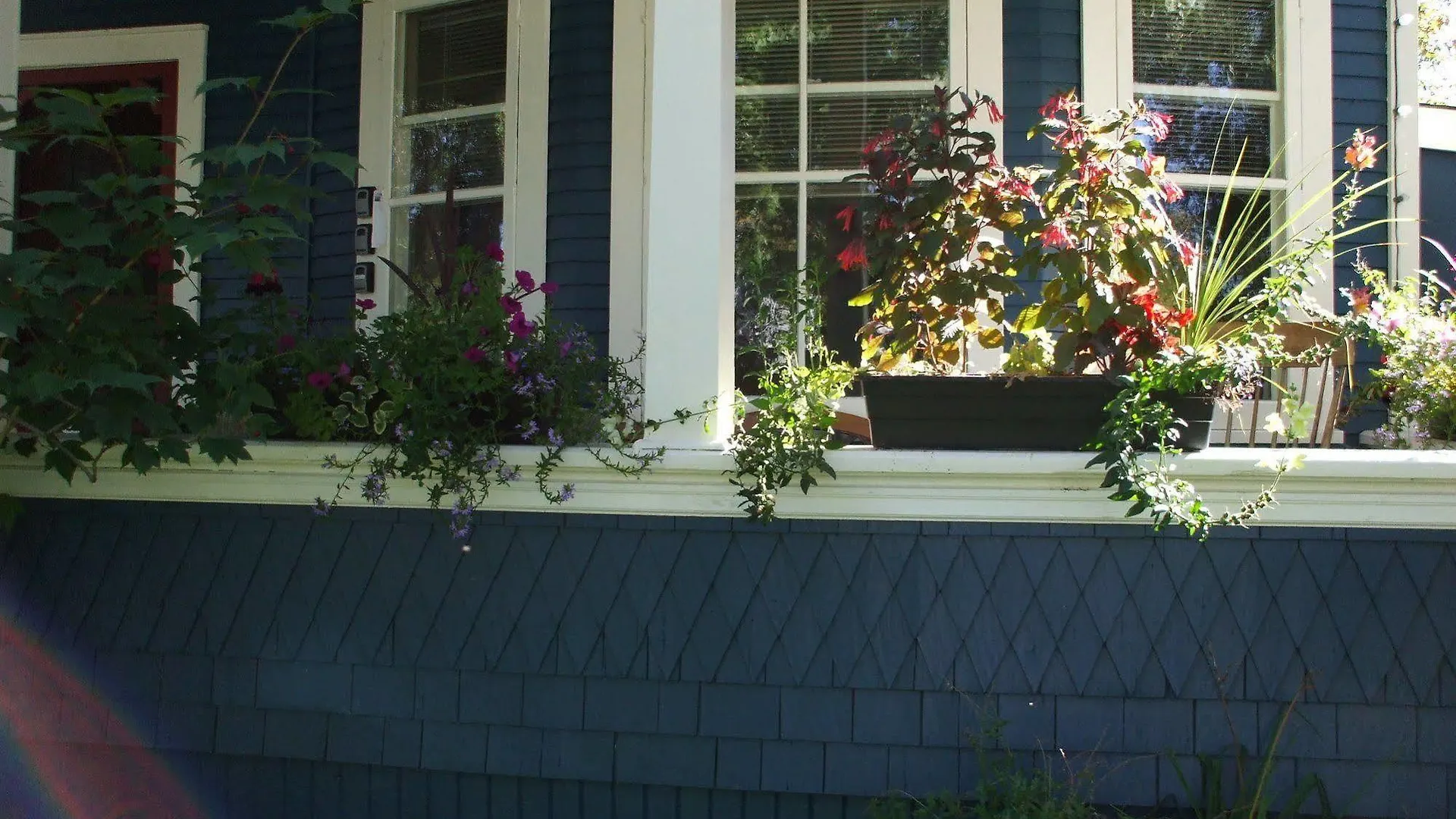 River Lee Executive Bed And Breakfast YYC 3*,  Kanada